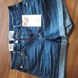 Denizen | High Rise Shorts